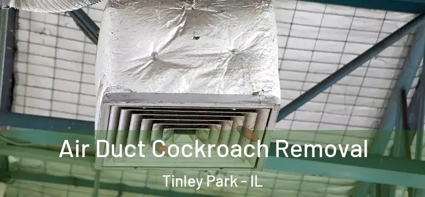 Air Duct Cockroach Removal Tinley Park - IL