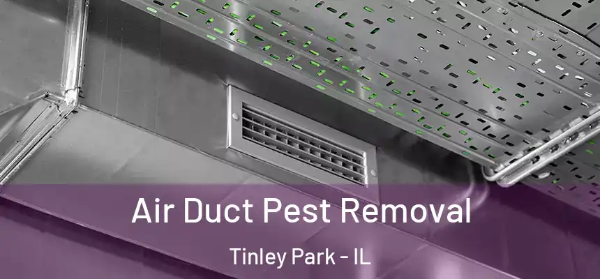  Air Duct Pest Removal Tinley Park - IL