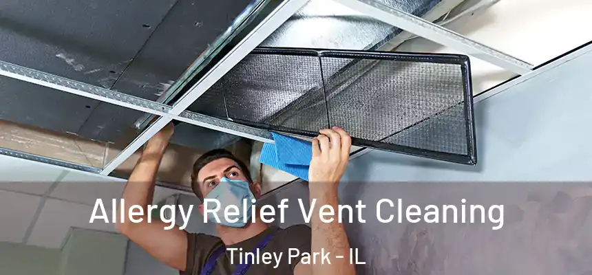 Allergy Relief Vent Cleaning Tinley Park - IL