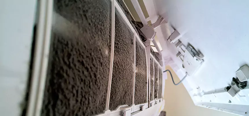 Preventive Air Duct Bacteria Removal in Tinley Park