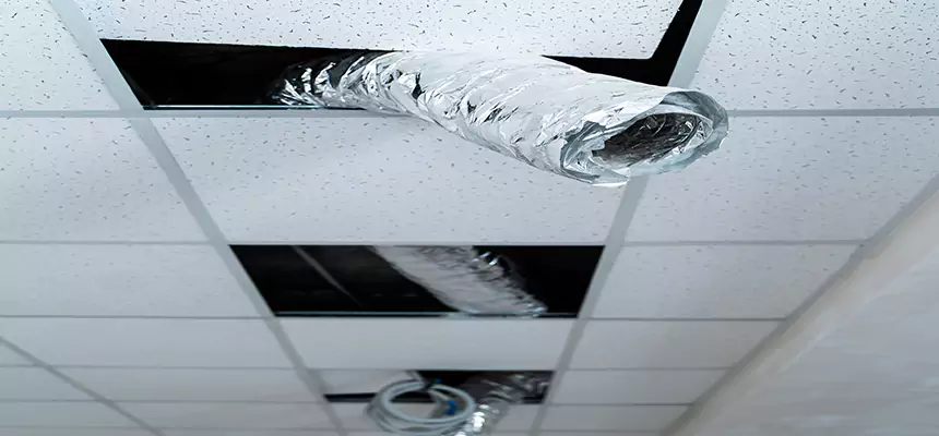 Our Air Duct Pet Hair Removal Services in Tinley Park, IL