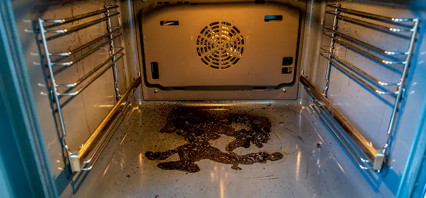 Our Dryer Vent Mold Cleaning Services in Tinley Park, IL