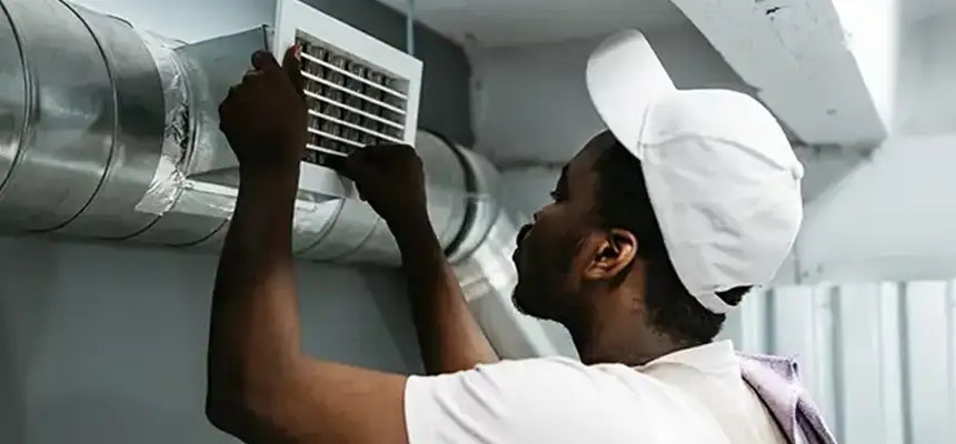 Our Licensed And Insured Cleaners in Tinley Park, IL