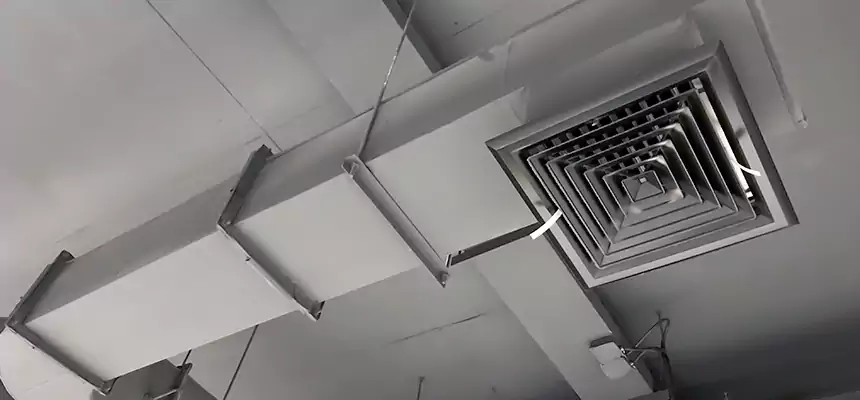 Our Pest Removal From Ducts Services in Tinley Park, IL