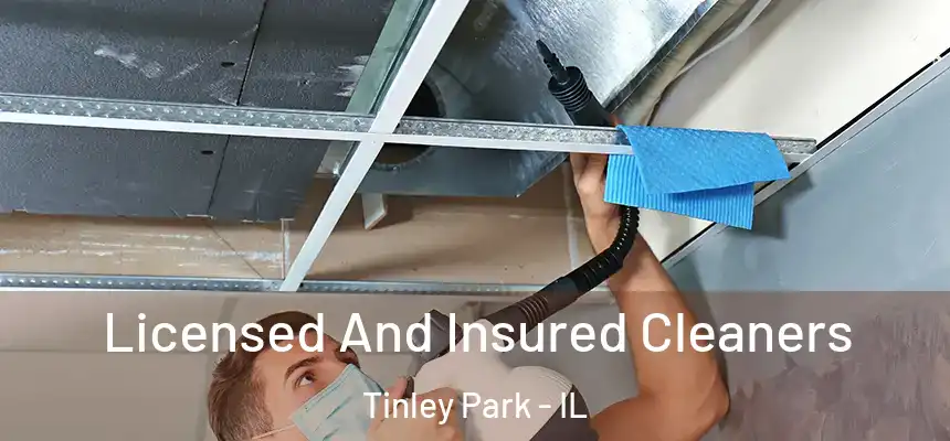 Licensed And Insured Cleaners Tinley Park - IL