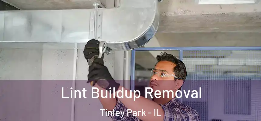  Lint Buildup Removal Tinley Park - IL