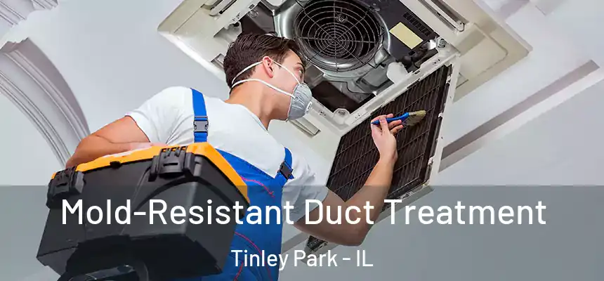  Mold-Resistant Duct Treatment Tinley Park - IL