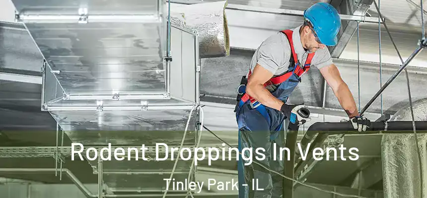  Rodent Droppings In Vents Tinley Park - IL