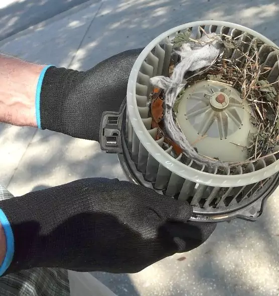 About Air Duct Rat Removal in Tinley Park, IL