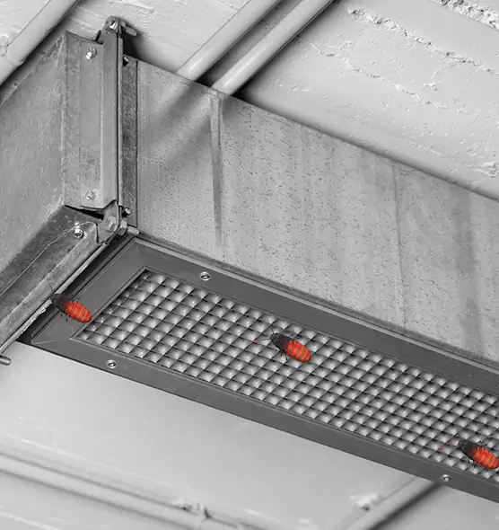 Affordable Insect Removal from Air Ducts in Tinley Park, IL