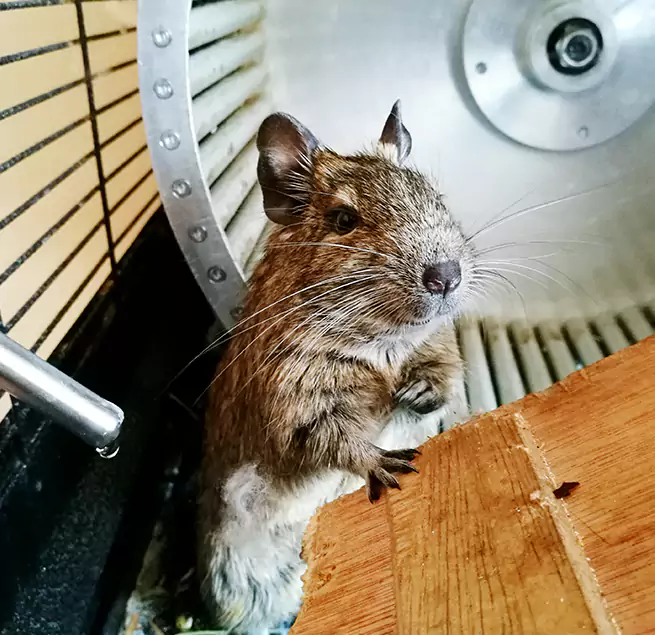 Why Homeowners & Businesses Trust Us Tinley Park, IL?