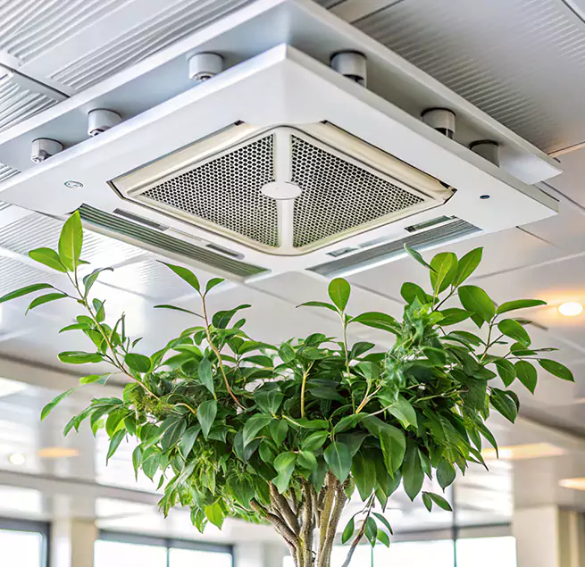 Why Homeowners & Businesses Trust Us in Tinley Park, IL?