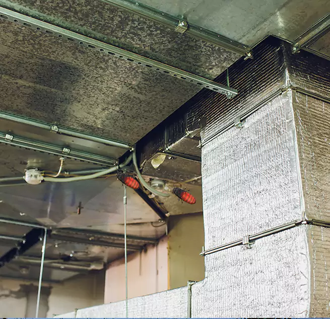 Why Homeowners & Businesses Trust Us Tinley Park, IL?