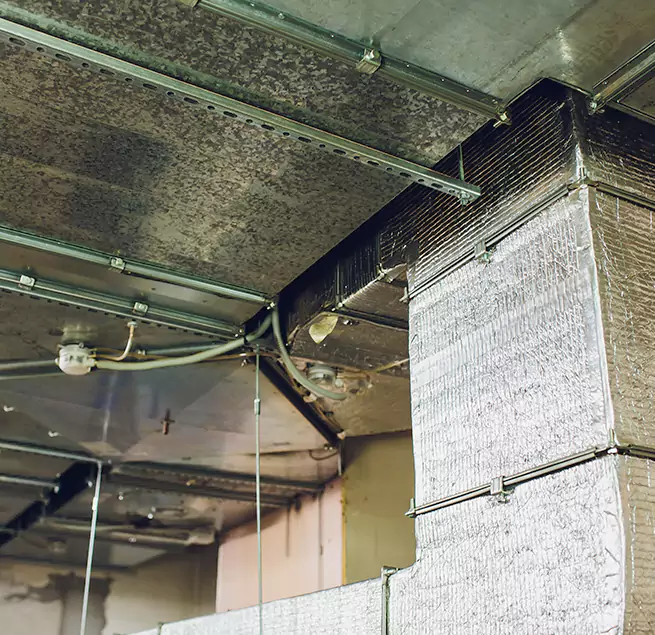 Why Homeowners & Businesses Trust Us in Tinley Park, IL?